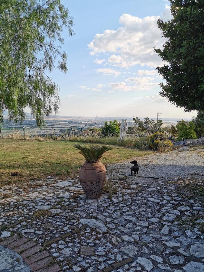 Villa Dei Romani - Country House Guidonia Montecelio Exterior photo